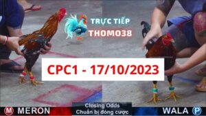 Đá gà thomo CPC1 17-10-2023