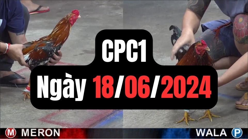 Đá gà thomo CPC1 ngày 18-06-2024