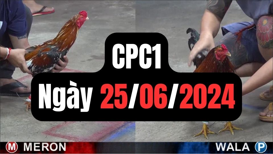 Đá gà thomo CPC1 ngày 25-06-2024