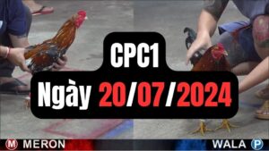 Đá gà thomo CPC1 ngày 20-07-2024