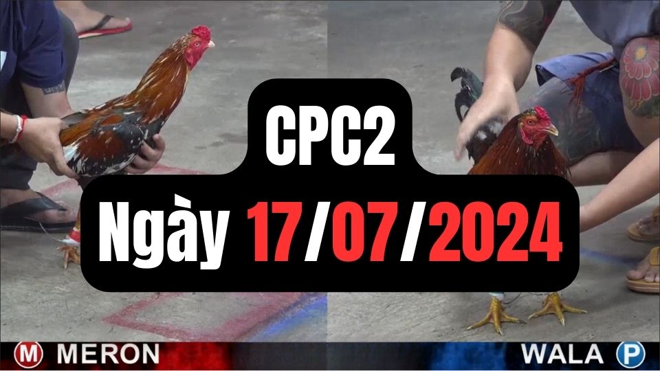 Đá gà thomo CPC2 ngày 17-07-2024