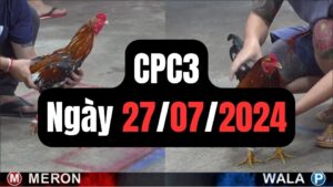 Đá gà thomo CPC3 ngày 27-07-2024