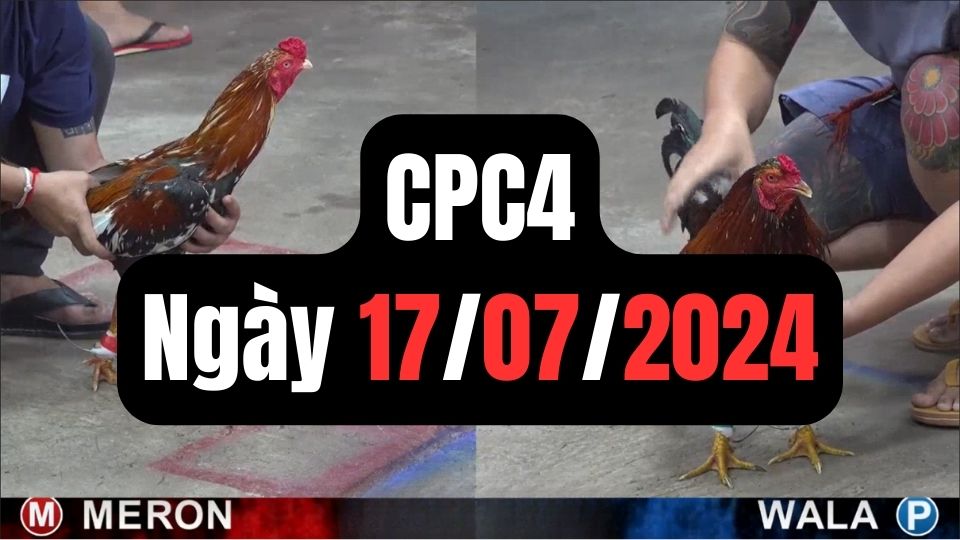 Đá gà thomo CPC4 ngày 17-07-2024