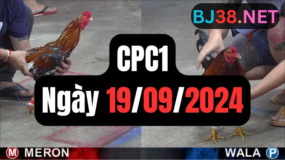 Đá gà thomo CPC1 ngày 19-09-2024