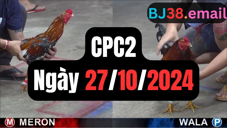 Đá gà thomo CPC2 ngày 27-10-2024