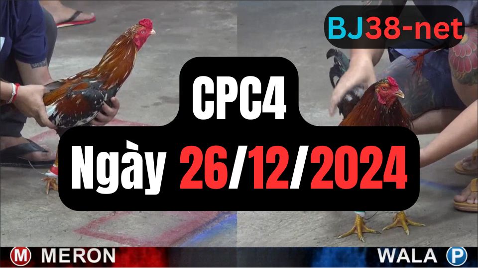 Đá gà thomo CPC4 ngày 26-12-2024